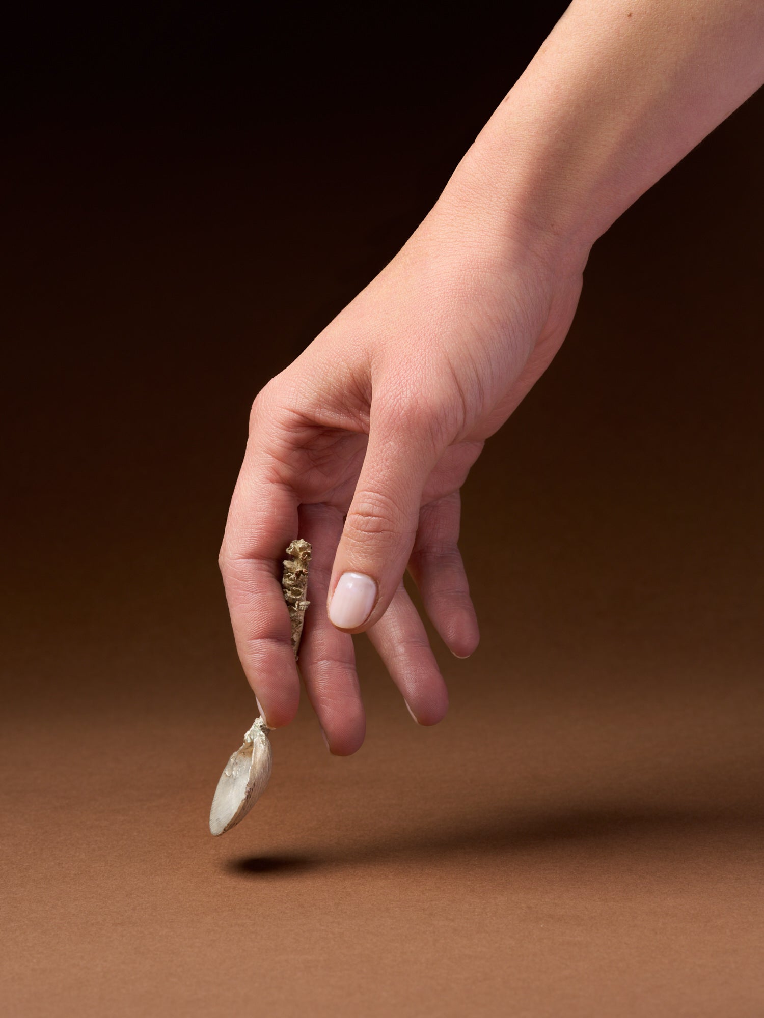 CUCCHIAINO DI AGOSTO