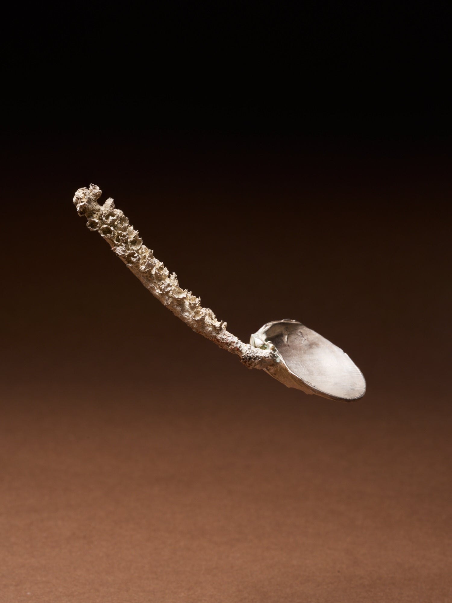 CUCCHIAINO DI AGOSTO